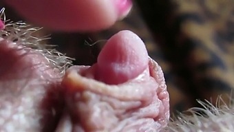 Intense Close-Up Of My Large Clitoris Gliding In Pleasure
