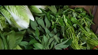 Luna'S Sensual Journey In Bali: An Exclusive Hd Porn Experience